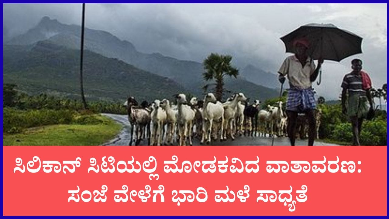 Photo from TV9 Kannada