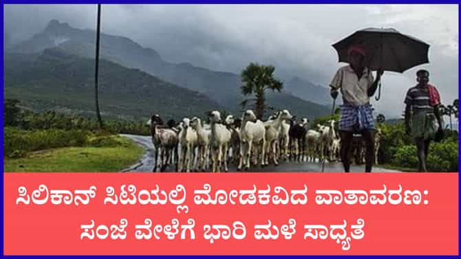 ರಾಜ್ಯದ ಹಲವು ಜಿಲ್ಲೆಗಳಲ್ಲಿ ಮುಂದುವರಿದ ಭಾರಿ ಮಳೆ