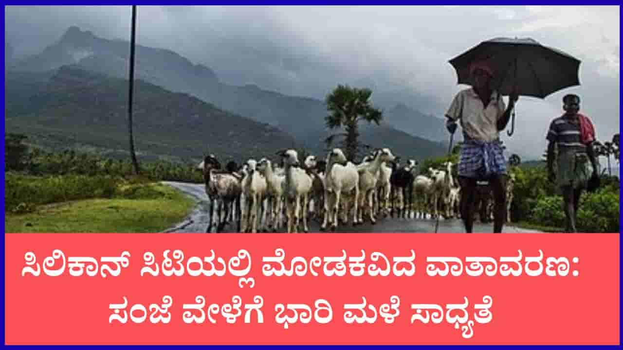 ಕರ್ನಾಟಕ ಹವಾಮಾನ ವರದಿ: ರಾಜ್ಯದ ಹಲವು ಜಿಲ್ಲೆಗಳಲ್ಲಿ ಮುಂದುವರಿದ ಭಾರಿ ಮಳೆ