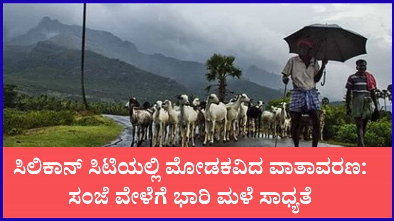 ಕರ್ನಾಟಕ ಹವಾಮಾನ ವರದಿ: ರಾಜ್ಯದ ಹಲವು ಜಿಲ್ಲೆಗಳಲ್ಲಿ ಮುಂದುವರಿದ ಭಾರಿ ಮಳೆ ಕರ್ನಾಟಕ ಹವಾಮಾನ ವರದಿ: ರಾಜ್ಯದ ಹಲವು ಜಿಲ್ಲೆಗಳಲ್ಲಿ ಮುಂದುವರಿದ ಭಾರಿ ಮಳೆ