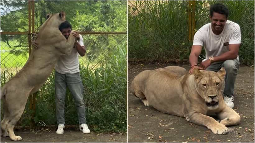 ಸಿಂಹದ ಜೊತೆ ಪೋಸ್ ಕೊಟ್ಟು ಟ್ರೋಲರ್ಗಳಿಗೆ ಉತ್ತರ ಕೊಟ್ಟ ಕಿರಣ್ ರಾಜ್