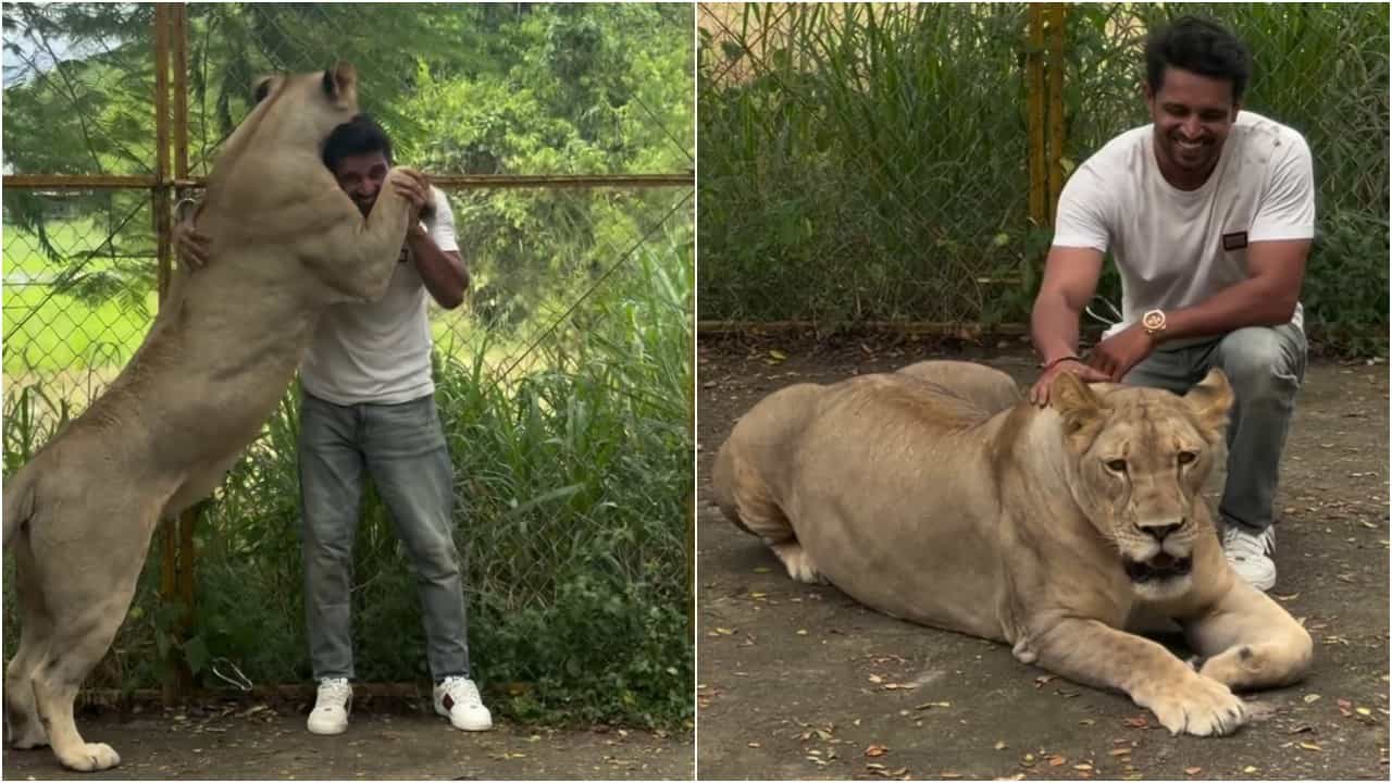 ಸಿಂಹದ ಜೊತೆ ಪೋಸ್ ಕೊಟ್ಟು ಟ್ರೋಲರ್​​ಗಳಿಗೆ ಉತ್ತರ ಕೊಟ್ಟ ಕಿರಣ್ ರಾಜ್
