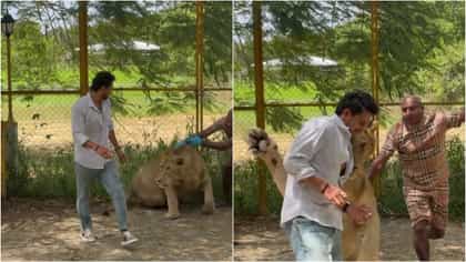 ಕಿರಣ್ ರಾಜ್ ಮೇಲೆ ನಿಜಕ್ಕೂ ಹುಲಿ ಅಟ್ಯಾಕ್ ಮಾಡಿತಾ? ಇಲ್ಲಿದೆ ಅಸಲಿಯತ್ತು