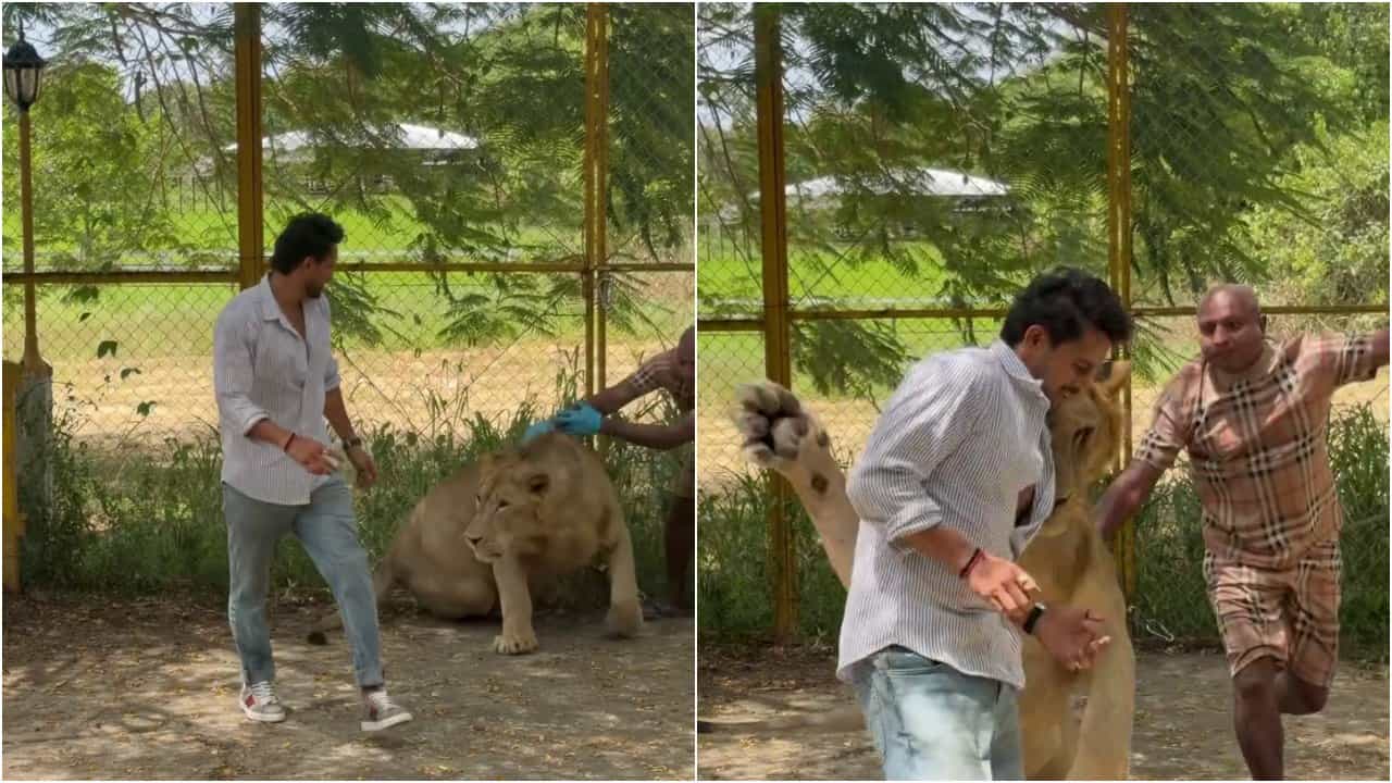ಕಿರಣ್ ರಾಜ್ ಮೇಲೆ ನಿಜಕ್ಕೂ ಹುಲಿ ಅಟ್ಯಾಕ್ ಮಾಡಿತಾ? ಇಲ್ಲಿದೆ ಅಸಲಿಯತ್ತು ಕಿರಣ್ ರಾಜ್ ಮೇಲೆ ನಿಜಕ್ಕೂ ಹುಲಿ ಅಟ್ಯಾಕ್ ಮಾಡಿತಾ? ಇಲ್ಲಿದೆ ಅಸಲಿಯತ್ತು