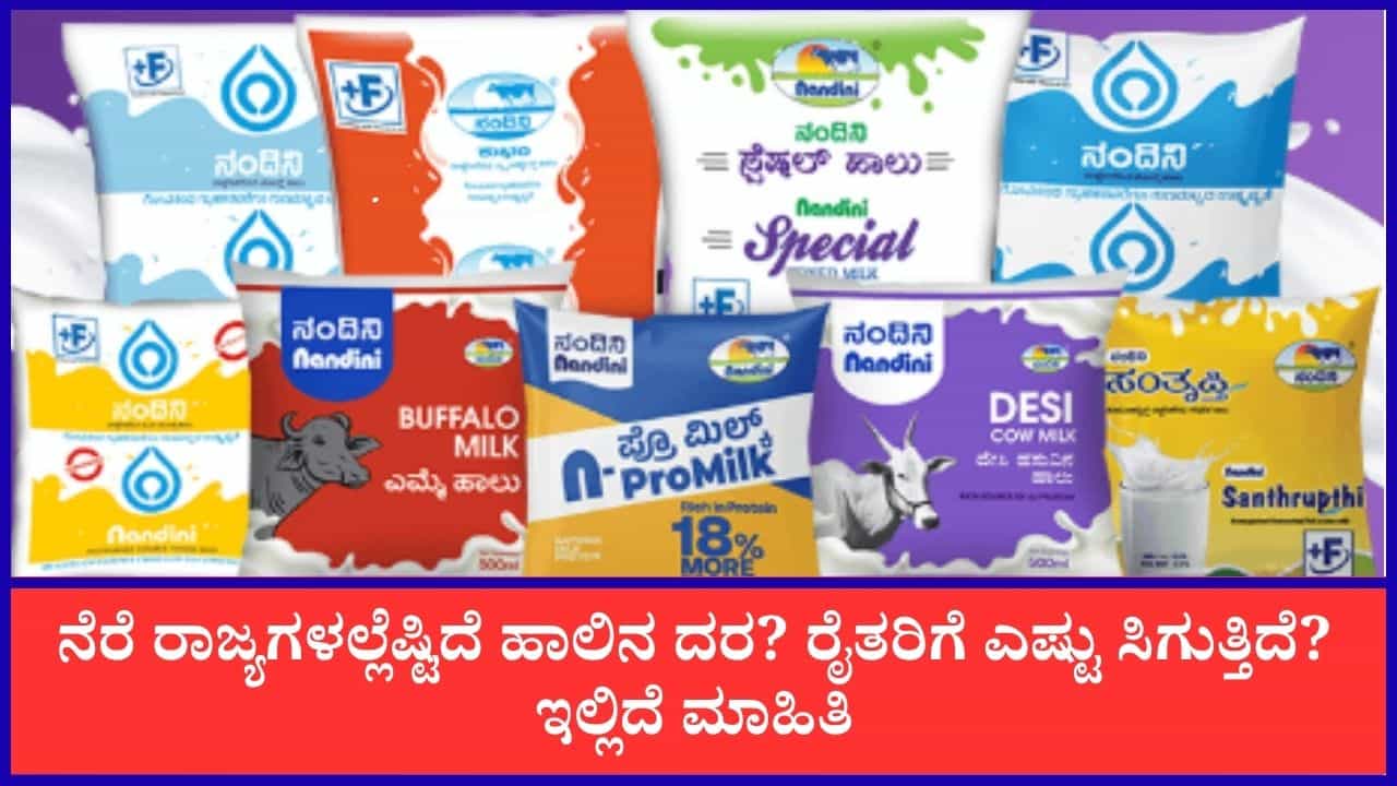 ನಂದಿನಿ ಹಾಲಿನ ದರ ಏರಿಕೆ ಪ್ರಸ್ತಾವ: ಬೇರೆ ರಾಜ್ಯಗಳಿಗೆ ಹೋಲಿಸಿದ್ರೆ ರೈತರಿಗೆ ಕಡಿಮೆ ಹಣ ಸಿಗೋದು ಕರ್ನಾಟಕದಲ್ಲೇ! ನಂದಿನಿ ಹಾಲಿನ ದರ ಏರಿಕೆ ಪ್ರಸ್ತಾವ: ಬೇರೆ ರಾಜ್ಯಗಳಿಗೆ ಹೋಲಿಸಿದ್ರೆ ರೈತರಿಗೆ ಕಡಿಮೆ ಹಣ ಸಿಗೋದು ಕರ್ನಾಟಕದಲ್ಲೇ!