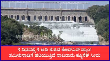 ಕೆಆರ್​ಎಸ್ ಡ್ಯಾಂನಿಂದ ತಮಿಳುನಾಡಿಗೆ ಹರಿಯುತ್ತಿದೆ ಬಹುಪಾಲು ನೀರು!