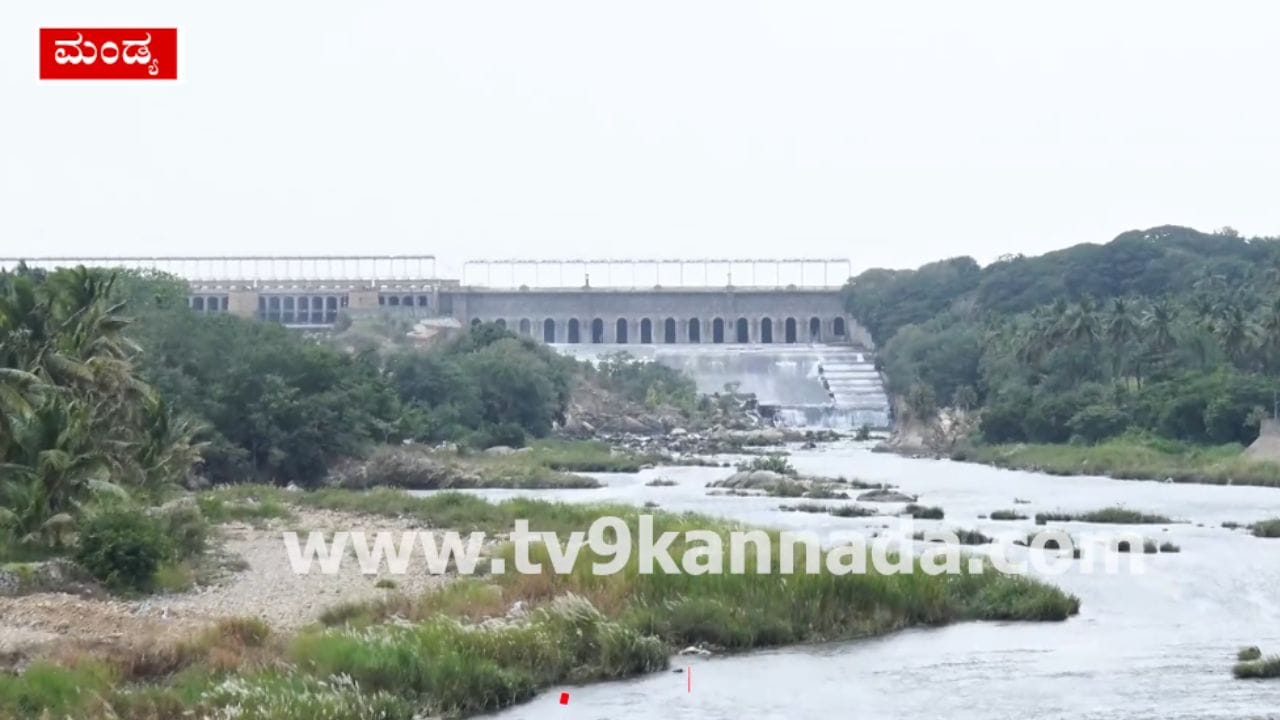 Photo: TV9 Kannada