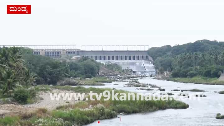 ಕಾವೇರಿ ಜಲಾನಯನ ಪ್ರದೇಶದ ಜಲಾಶಯಗಳಲ್ಲಿ ನೀರಿನ ಸಂಗ್ರಹ ತೀವ್ರ ಕುಸಿತ: ಜನವರಿ ತಿಂಗಳ ಒಳಗಾಗಿಯೇ ಜಲಕ್ಷಾಮದ ಭೀತಿ ಕಾವೇರಿ ಜಲಾನಯನ ಪ್ರದೇಶದ ಜಲಾಶಯಗಳಲ್ಲಿ ನೀರಿನ ಸಂಗ್ರಹ ತೀವ್ರ ಕುಸಿತ: ಜನವರಿ ತಿಂಗಳ ಒಳಗಾಗಿಯೇ ಜಲಕ್ಷಾಮದ ಭೀತಿ