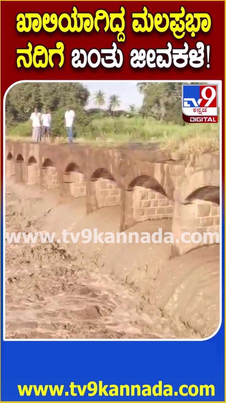 ಮಲಪ್ರಭಾ ನದಿಗೆ ಬಂತು ಜೀವಕಳೆ: ರೈತರು ಫುಲ್ ಖುಷ್