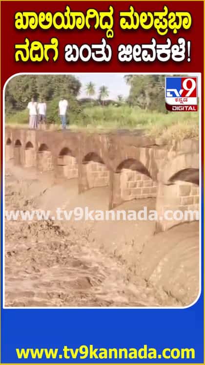 ಮಲಪ್ರಭಾ ನದಿಗೆ ಬಂತು ಜೀವಕಳೆ: ರೈತರು ಫುಲ್ ಖುಷ್