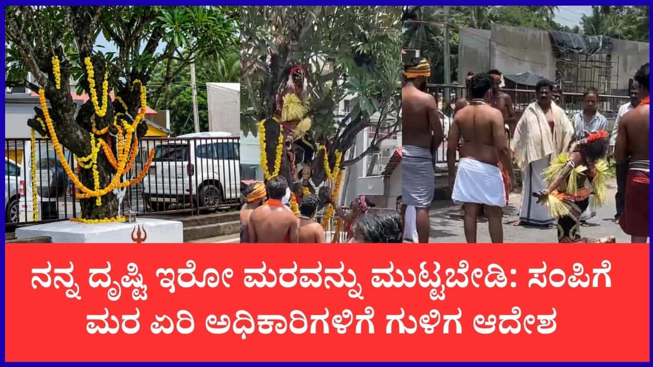 ಆ ಮರವನ್ನು ಯಾವ ಕಾರಣಕ್ಕೂ ಮುಟ್ಟಬೇಡಿ, ಮುಂದೆ ದೊಡ್ಡ ಪರಿಣಾಮ ಎದುರಿಸಬೇಕಾಗುತ್ತೆ!: NHAI ಅಧಿಕಾರಿಗಳಿಗೆ ರಾಹುಗುಳಿಗ ದೈವದಿಂದ ಎಚ್ಚರಿಕೆ ಆ ಮರವನ್ನು ಯಾವ ಕಾರಣಕ್ಕೂ ಮುಟ್ಟಬೇಡಿ, ಮುಂದೆ ದೊಡ್ಡ ಪರಿಣಾಮ ಎದುರಿಸಬೇಕಾಗುತ್ತೆ!: NHAI ಅಧಿಕಾರಿಗಳಿಗೆ ರಾಹುಗುಳಿಗ ದೈವದಿಂದ ಎಚ್ಚರಿಕೆ