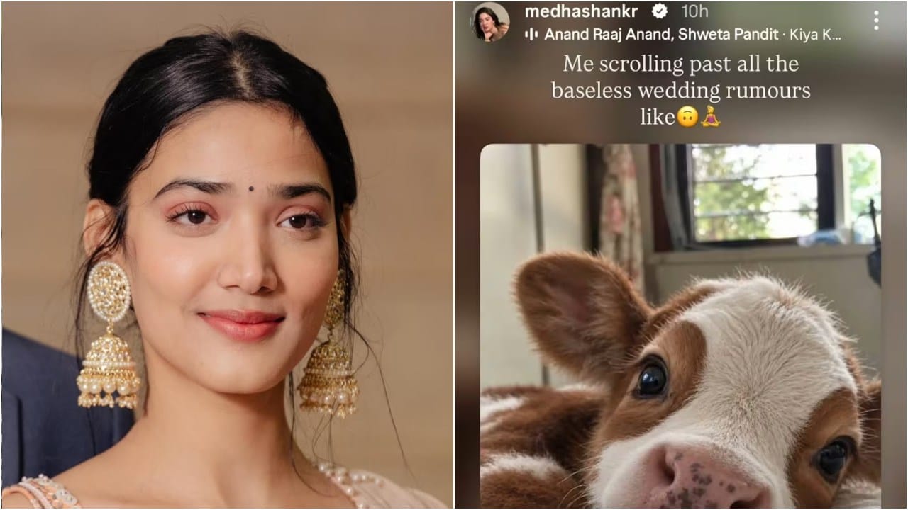 ಮೇಧಾ