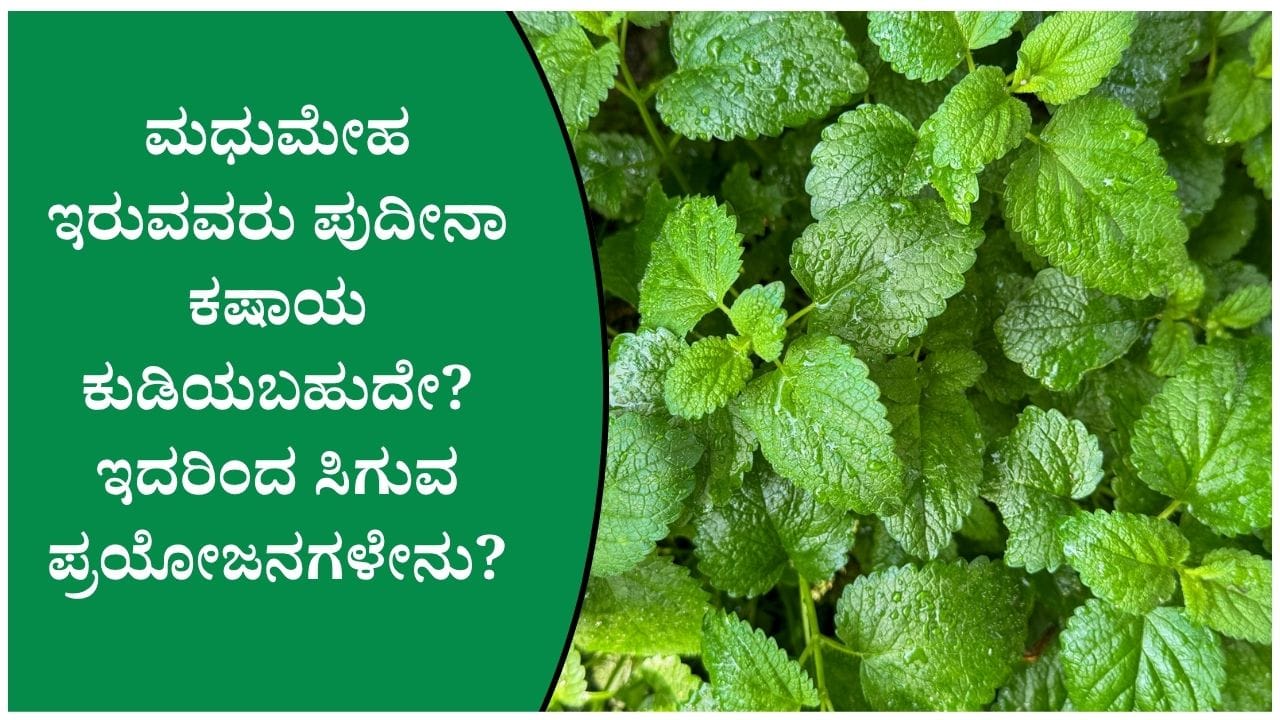 ಶುಗರ್ ಕಂಟ್ರೋಲ್ಗೆ ಪುದೀನಾ ಮತ್ತು ದಾಲ್ಚಿನ್ನಿ ಕಷಾಯ ಪರಿಣಾಮಕಾರಿಯೇ?