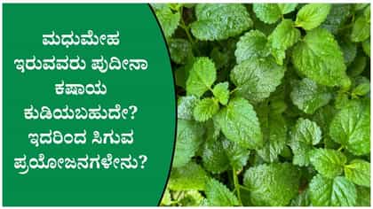 ಪುದೀನಾ-ದಾಲ್ಚಿನ್ನಿ ಕಷಾಯ ಮಧುಮೇಹವನ್ನು ನಿಯಂತ್ರಣದಲ್ಲಿಡುತ್ತಾ?