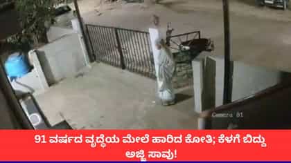 ಕೊಪ್ಪಳದಲ್ಲಿ ಕೋತಿಯ ಚೇಷ್ಟೆಯಿಂದ ಪ್ರಾಣ ಕಳೆದುಕೊಂಡ 91 ವರ್ಷದ ಅಜ್ಜಿ!