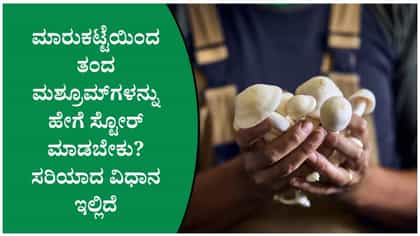 ಮಶ್ರೂಮ್‌ಗಳನ್ನು ಹೆಚ್ಚು ದಿನ ತಾಜಾ ಇಡುವ ವಿಧಾನ