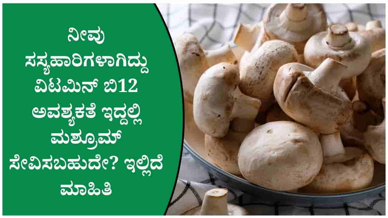 ಸಸ್ಯಹಾರಿಗಳಿಗೆ ವಿಟಮಿನ್ ಬಿ12 ಮಶ್ರೂಮ್ ನಿಂದ ಸಿಗುತ್ತದೆಯೇ? ಇಲ್ಲಿದೆ ನೀವು ತಿಳಿಯಬೇಕಾದ ಸಂಗತಿಗಳು