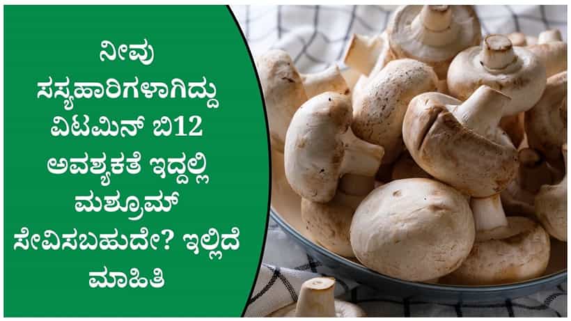 ಸಸ್ಯಹಾರಿಗಳಿಗೆ ವಿಟಮಿನ್ ಬಿ12 ಮಶ್ರೂಮ್ ನಿಂದ ಸಿಗುತ್ತದೆಯೇ? ಇಲ್ಲಿದೆ ನೀವು ತಿಳಿಯಬೇಕಾದ ಸಂಗತಿಗಳು
