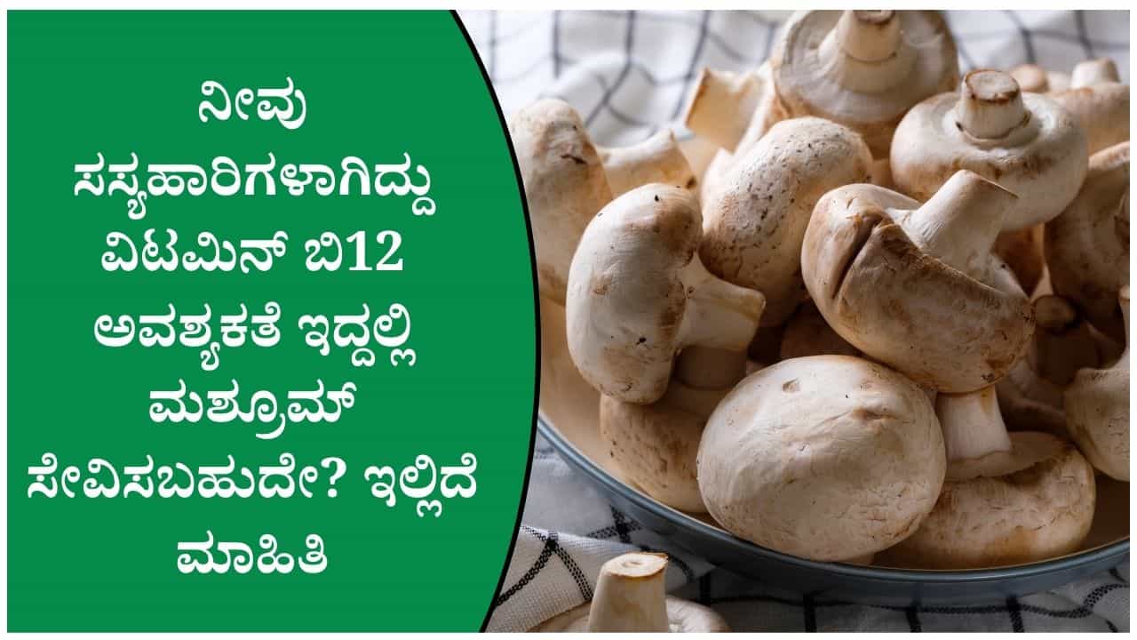 ಸಸ್ಯಹಾರಿಗಳಿಗೆ ವಿಟಮಿನ್‌ ಬಿ12 ಮಶ್ರೂಮ್ ನಿಂದ ಸಿಗುತ್ತದೆಯೇ? ಇಲ್ಲಿದೆ ನೀವು ತಿಳಿಯಬೇಕಾದ ಸಂಗತಿಗಳು