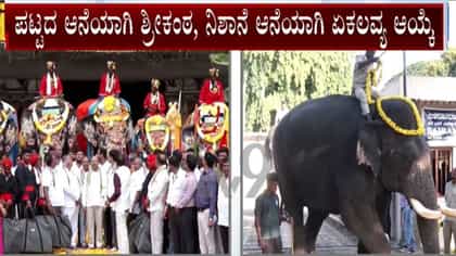 ಮೈಸೂರು ದಸರಾ 2026: ಶ್ರೀಕಂಠ ಪಟ್ಟದ ಆನೆ, ಏಕಲವ್ಯ ನಿಶಾನೆ ಆನೆಯಾಗಿ ಆಯ್ಕೆ