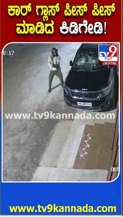 ಕಾರ್ ಗ್ಲಾಸ್ ಪೀಸ್ ಪೀಸ್