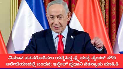 ಫ್ಲೈದುಬೈ ವಿಮಾನ ಪತನಗೊಳಿಸಲು ಕೋ-ಪೈಲಟ್ ಯತ್ನಿಸಿದ್ದ ಎಂದ ಇಸ್ರೇಲ್ ಪ್ರಧಾನಿ