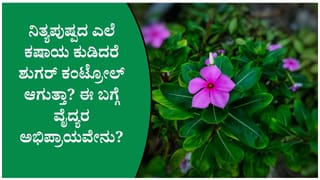 ಮನೆಯ ಅಂಗಳದ ನಿತ್ಯಪುಷ್ಪ ಹೂವು ನಿಜಕ್ಕೂ ಶುಗರ್, ಬಿಪಿಗೆ ಮನೆಮದ್ದಾಗಿ ಉಪಯೋಗವಾಗುತ್ತದೆಯೇ ತಿಳಿದುಕೊಳ್ಳಿ