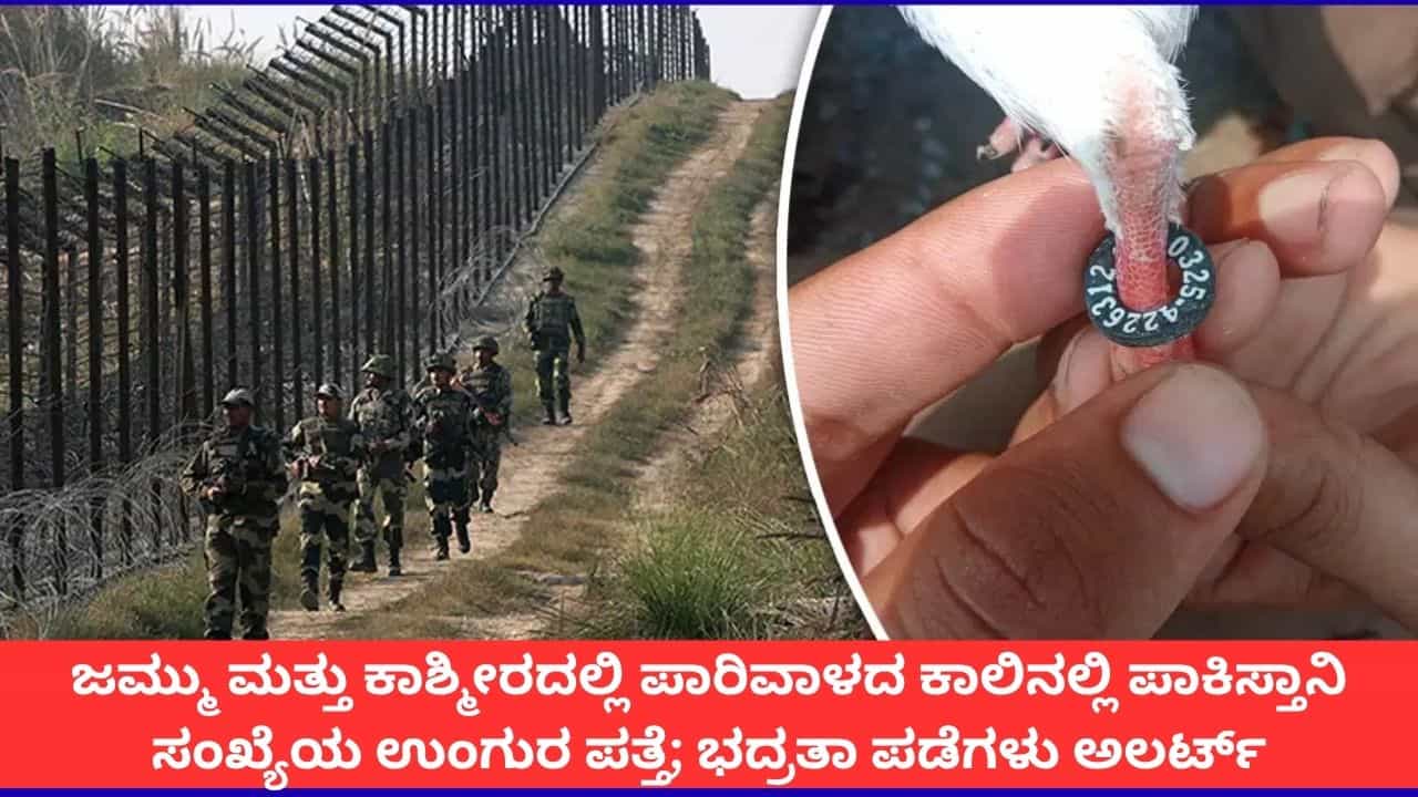ಜಮ್ಮು ಕಾಶ್ಮೀರದಲ್ಲಿ ಪಾಕಿಸ್ತಾನದ ಫೋನ್ ನಂಬರ್ ಇದ್ದ ಪಾರಿವಾಳದ ಉಂಗುರ ಪತ್ತೆ; ಗಡಿಯಲ್ಲಿ ಹೈ ಅಲರ್ಟ್ ಜಮ್ಮು ಕಾಶ್ಮೀರದಲ್ಲಿ ಪಾಕಿಸ್ತಾನದ ಫೋನ್ ನಂಬರ್ ಇದ್ದ ಪಾರಿವಾಳದ ಉಂಗುರ ಪತ್ತೆ; ಗಡಿಯಲ್ಲಿ ಹೈ ಅಲರ್ಟ್