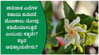 ಪಾರಿಜಾತ ಎಲೆ: ಕೀಲು ನೋವಿನಿಂದ ಜ್ವರದವರೆಗೆ ಎಲ್ಲದಕ್ಕೂ ಮದ್ದೇ?