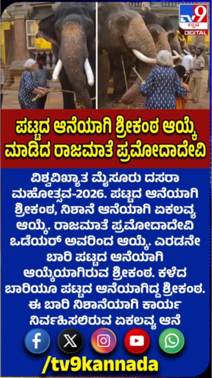 ಪಟ್ಟದ ಆನೆಯಾಗಿ ಶ್ರೀಕಂಠ, ನಿಶಾನೆ ಆನೆಯಾಗಿ ಏಕಲವ್ಯ ಆಯ್ಕೆ