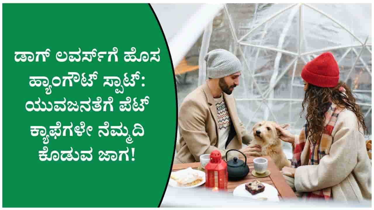 ಕಾಫಿಗಿಂತ ಕಂಪನಿ ಮುಖ್ಯ! ಡಾಗ್ ಕ್ಯಾಫೆಗಳು ಜನಪ್ರಿಯವಾಗುತ್ತಿರುವುದು ಇದೆ ಕಾರಣಕ್ಕೆ!