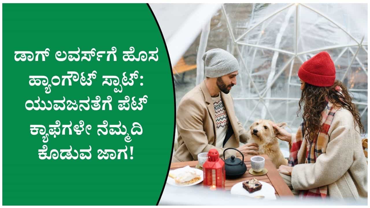 ಕಾಫಿಗಿಂತ ಕಂಪನಿ ಮುಖ್ಯ! ಡಾಗ್ ಕ್ಯಾಫೆಗಳು ಜನಪ್ರಿಯವಾಗುತ್ತಿರುವುದು ಇದೆ ಕಾರಣಕ್ಕೆ! ಕಾಫಿಗಿಂತ ಕಂಪನಿ ಮುಖ್ಯ! ಡಾಗ್ ಕ್ಯಾಫೆಗಳು ಜನಪ್ರಿಯವಾಗುತ್ತಿರುವುದು ಇದೆ ಕಾರಣಕ್ಕೆ!