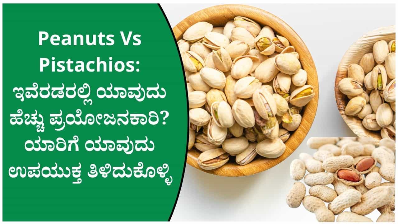 ಕಡಲೆಕಾಯಿ Vs ಪಿಸ್ತಾ: ನಿಮ್ಮ ಆರೋಗ್ಯಕ್ಕೆ ಯಾವುದು ಹೆಚ್ಚು ಉಪಯುಕ್ತ ತಿಳಿದುಕೊಳ್ಳಿ ಕಡಲೆಕಾಯಿ Vs ಪಿಸ್ತಾ: ನಿಮ್ಮ ಆರೋಗ್ಯಕ್ಕೆ ಯಾವುದು ಹೆಚ್ಚು ಉಪಯುಕ್ತ ತಿಳಿದುಕೊಳ್ಳಿ