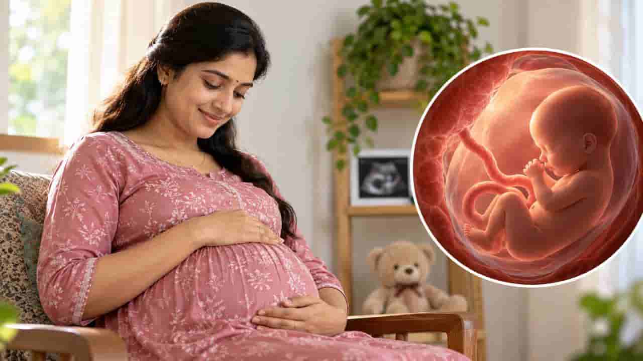 Pregnancy Weight Gain: ಗರ್ಭಿಣಿಯರು ಗರ್ಭಾವಸ್ಥೆಯಲ್ಲಿ ಏಕೆ ದಪ್ಪವಾಗುತ್ತಾರೆ? ಕಾರಣ ಮಗು ಮಾತ್ರವಲ್ಲ!