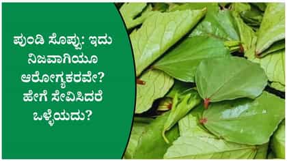 ಆರೋಗ್ಯಕ್ಕೆ ಉತ್ತಮ ಈ ಸೊಪ್ಪು: ಪುಂಡಿ ಸೊಪ್ಪಿನ ವಿಶೇಷತೆ ತಿಳಿಯಿರಿ