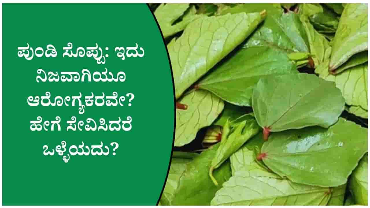 ಪುಂಡಿ ಸೊಪ್ಪಿನ ಬಗ್ಗೆ ಕೇಳಿದ್ದೀರಾ? ಇದರಿಂದ ಆರೋಗ್ಯಕ್ಕೆ ಸಿಗುವ ಪ್ರಯೋಜನಗಳೇನು?
