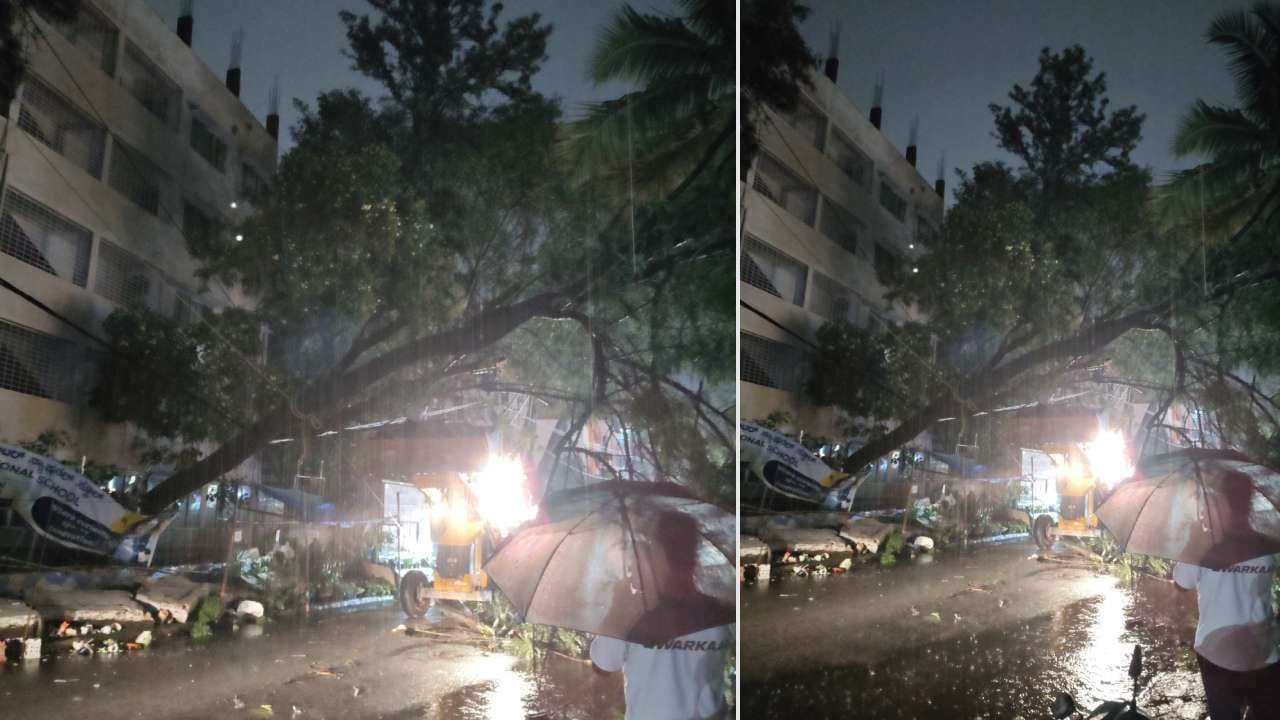 ಜೋರು ಗಾಳಿ ಮಳೆಗೆ ವಿಜ್ಞಾನ ನಗರ ಬಳಿ ಬೃಹತ್ ಮರವೊಂದು ಧರೆಗುರುಳಿದೆ. ಮರ ಬಿದ್ಧ ಪರಿಣಾಮ ಕಗ್ಗದಾಸಪುರ ಕಡೆಗೆ ವಾಹನ ಸಂಚಾರ ಸಂಪೂರ್ಣ ಮಂದಗತಿಯಲ್ಲಿದೆ. (PC: blrcitytraffic)