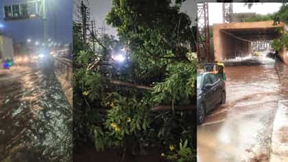 ವರುಣಾರ್ಭಟಕ್ಕೆ ಅವಾಂತರ: ಜಲಾವೃತಗೊಂಡ ಅಂಡರ್‌ಪಾಸ್; ಧರೆಗುರುಳಿದ ಮರಗಳು