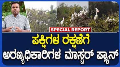ರಂಗನತಿಟ್ಟು ವಿದೇಶಿ ಪ್ರಯೋಗ: ಪಕ್ಷಿಗಳ ರಕ್ಷಣೆಗೆ ಗೇಬಿಯನ್ ತಂತ್ರಜ್ಞಾನ