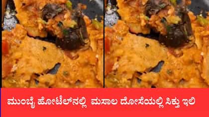 ಮುಂಬೈ ಹೋಟೆಲ್‌ನಲ್ಲಿ ಮಸಾಲ ದೋಸೆಯಲ್ಲಿ ಸಿಕ್ತು ಇಲಿ