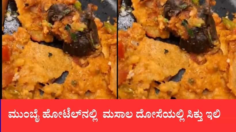 ಮುಂಬೈ ಹೋಟೆಲ್ನಲ್ಲಿ ಮಸಾಲ ದೋಸೆಯಲ್ಲಿ ಸಿಕ್ತು ಇಲಿ: ವಾಂತಿ ಮಾಡಿಕೊಂಡ ಗ್ರಾಹಕ, ಲೈಸೆನ್ಸ್ ರದ್ದು ಮಾಡಿದ ಎಫ್ಡಿಎ