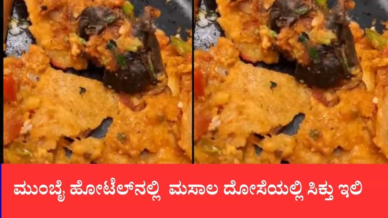 ಮುಂಬೈ ಹೋಟೆಲ್ನಲ್ಲಿ ಮಸಾಲ ದೋಸೆಯಲ್ಲಿ ಸಿಕ್ತು ಇಲಿ: ವಾಂತಿ ಮಾಡಿಕೊಂಡ ಗ್ರಾಹಕ, ಲೈಸೆನ್ಸ್ ರದ್ದು ಮಾಡಿದ ಎಫ್ಡಿಎ ಮುಂಬೈ ಹೋಟೆಲ್ನಲ್ಲಿ ಮಸಾಲ ದೋಸೆಯಲ್ಲಿ ಸಿಕ್ತು ಇಲಿ: ವಾಂತಿ ಮಾಡಿಕೊಂಡ ಗ್ರಾಹಕ, ಲೈಸೆನ್ಸ್ ರದ್ದು ಮಾಡಿದ ಎಫ್ಡಿಎ