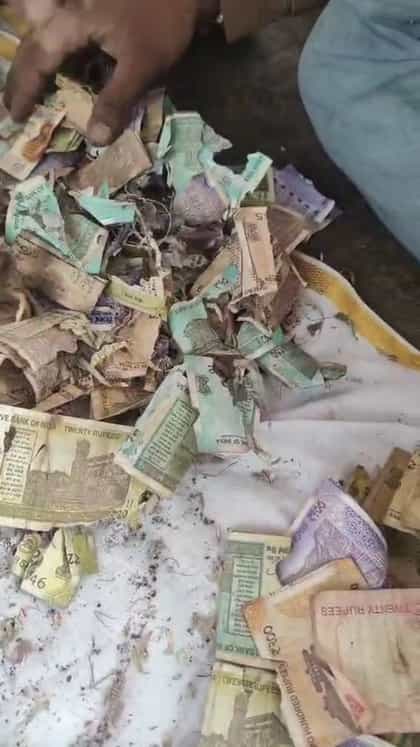 ಶಿವಮೊಗ್ಗ: ಗಣಪತಿ ದೇವಸ್ಥಾನದ ಹುಂಡಿ ಹಣ ಇಲಿಗಳ ಪಾಲು!