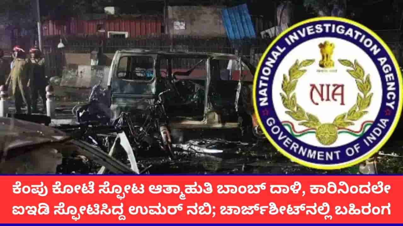 ಕೆಂಪು ಕೋಟೆ ಸ್ಫೋಟ ಆತ್ಮಾಹುತಿ ಬಾಂಬ್ ದಾಳಿ, ಕಾರಿನಿಂದಲೇ ಐಇಡಿ ಸ್ಫೋಟಿಸಿದ್ದ ಉಮರ್ ನಬಿ; ಎನ್ಐಎ ಚಾರ್ಜ್ಶೀಟ್ನಲ್ಲಿ ಬಹಿರಂಗ