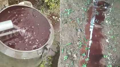 ಕೊಡಗಿನಲ್ಲಿ ಸುರಿದ ಕೆಂಬಣ್ಣದ ಮಳೆ: ಅಚ್ಚರಿಗೊಂಡ ಜನ