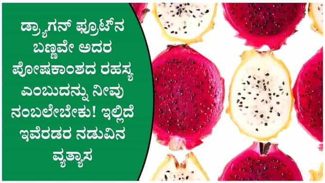 ಕೆಂಪು vs ಬಿಳಿ ಡ್ರ್ಯಾಗನ್ ಫ್ರೂಟ್: ಆರೋಗ್ಯಕ್ಕೆ ಯಾವುದು ಬೆಸ್ಟ್?