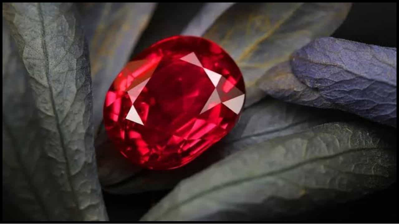Ruby Gemstone: ಮಾಣಿಕ್ಯ ರತ್ನ ಯಾರು ಧರಿಸಬೇಕು? ಅದರ ಪ್ರಯೋಜನ ಮತ್ತು ಧರಿಸುವ ಸರಿಯಾದ ನಿಯಮ
