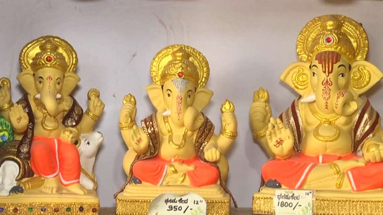 ಫಲವತ್ತಾದ ಜೇಡಿಮಣ್ಣಿನಲ್ಲಿ ತಯಾರಾಗುವ ಈ ಮೂರ್ತಿಗಳ ಒಳಗಿರುವ ಹಾಗೂ ಅಲಂಕಾರಕ್ಕೆ ಬಳಸಿದ ಬೀಜಗಳು ಐದಾರು ದಿನಗಳಲ್ಲಿ ಮೊಳಕೆಯೊಡೆಯುತ್ತವೆ. ಹಬ್ಬದ 11ನೇ ದಿನಕ್ಕೆ ಸಣ್ಣ ಸಸಿಗಳಾಗಿ ಬೆಳೆಯುವ ಈ ಮಣ್ಣನ್ನು ಹಿತ್ತಲು ಅಥವಾ ಹೊಲಗಳಲ್ಲಿ ಹಾಕಿದರೆ ಗಿಡಗಳು ಬೆಳೆಯುತ್ತವೆ. (Image Credit: tv9 kannada)