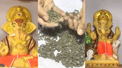 ಕಲಾವಿದನ ‘ಬೀಜ ಗಣಪತಿ’ ಕಲ್ಪನೆ: ವಿಸರ್ಜನೆ ನಂತರ ಅರಳುತ್ತೆ ಹಸಿರು ಸಂಕುಲ