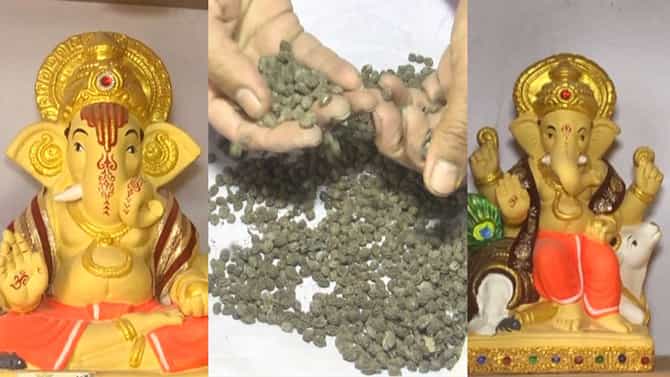 ಕಲಾವಿದನ ‘ಬೀಜ ಗಣಪತಿ’ ಕಲ್ಪನೆ: ವಿಸರ್ಜನೆ ನಂತರ ಅರಳುತ್ತೆ ಹಸಿರು ಸಂಕುಲ